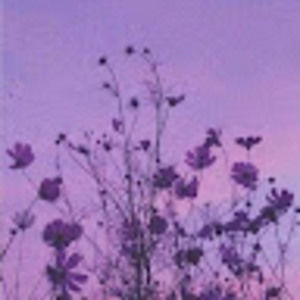 Meet your Posher, Isabelle